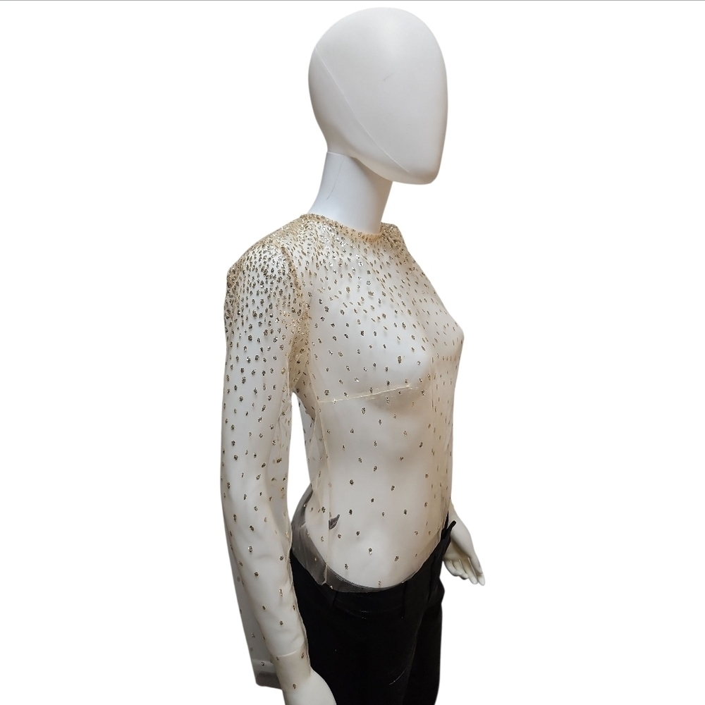 LIRIKA MATOSHI | Sheer Mesh Glitter Top in Size Small - Picture 5 of 10